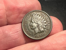  on The Hot Collector