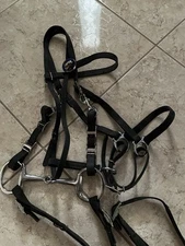 Beta Biothane Reg.Horse Sz. Combo Event/ trail bridle With Rein/bit