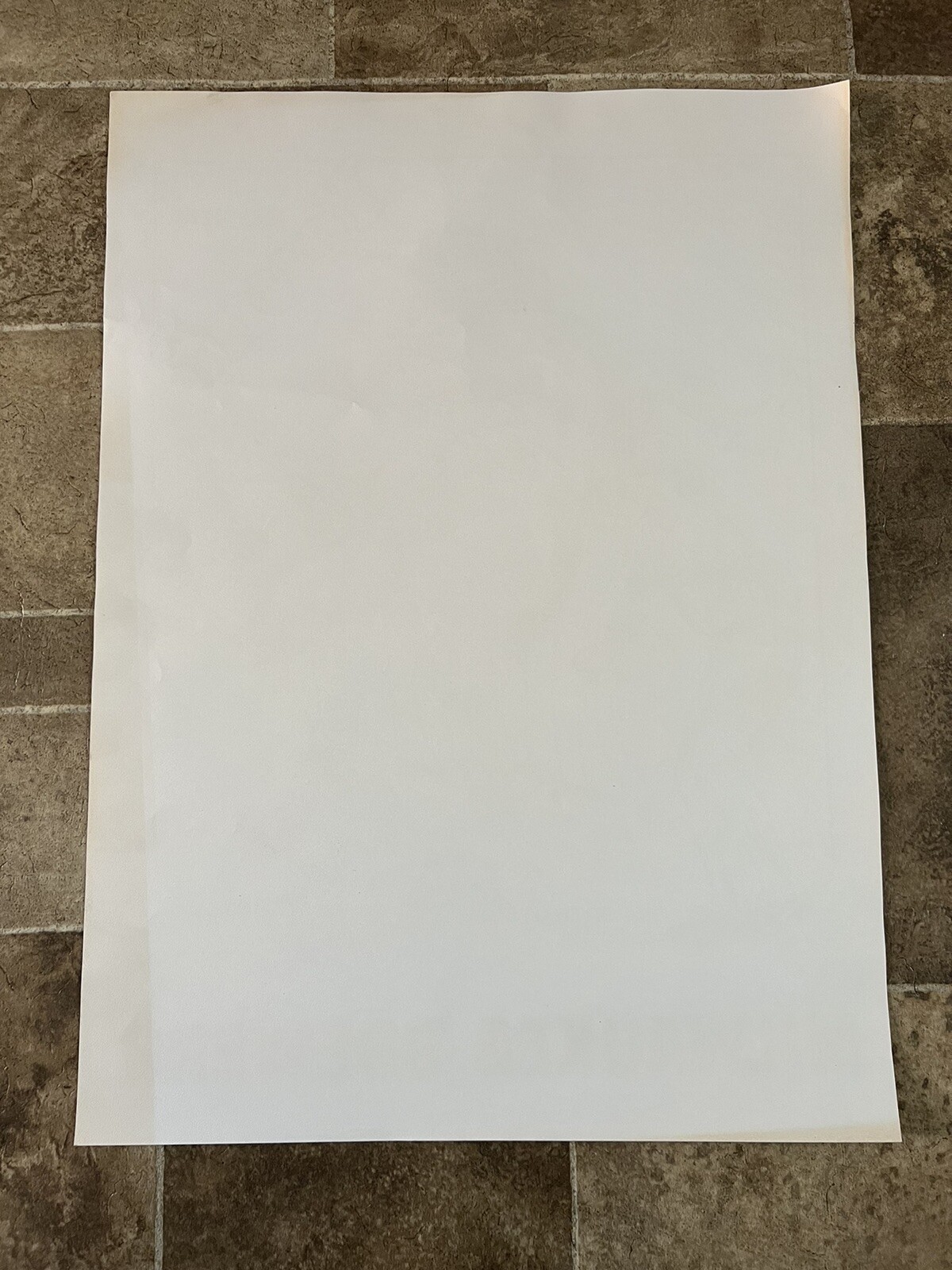 Picture 10 of 10