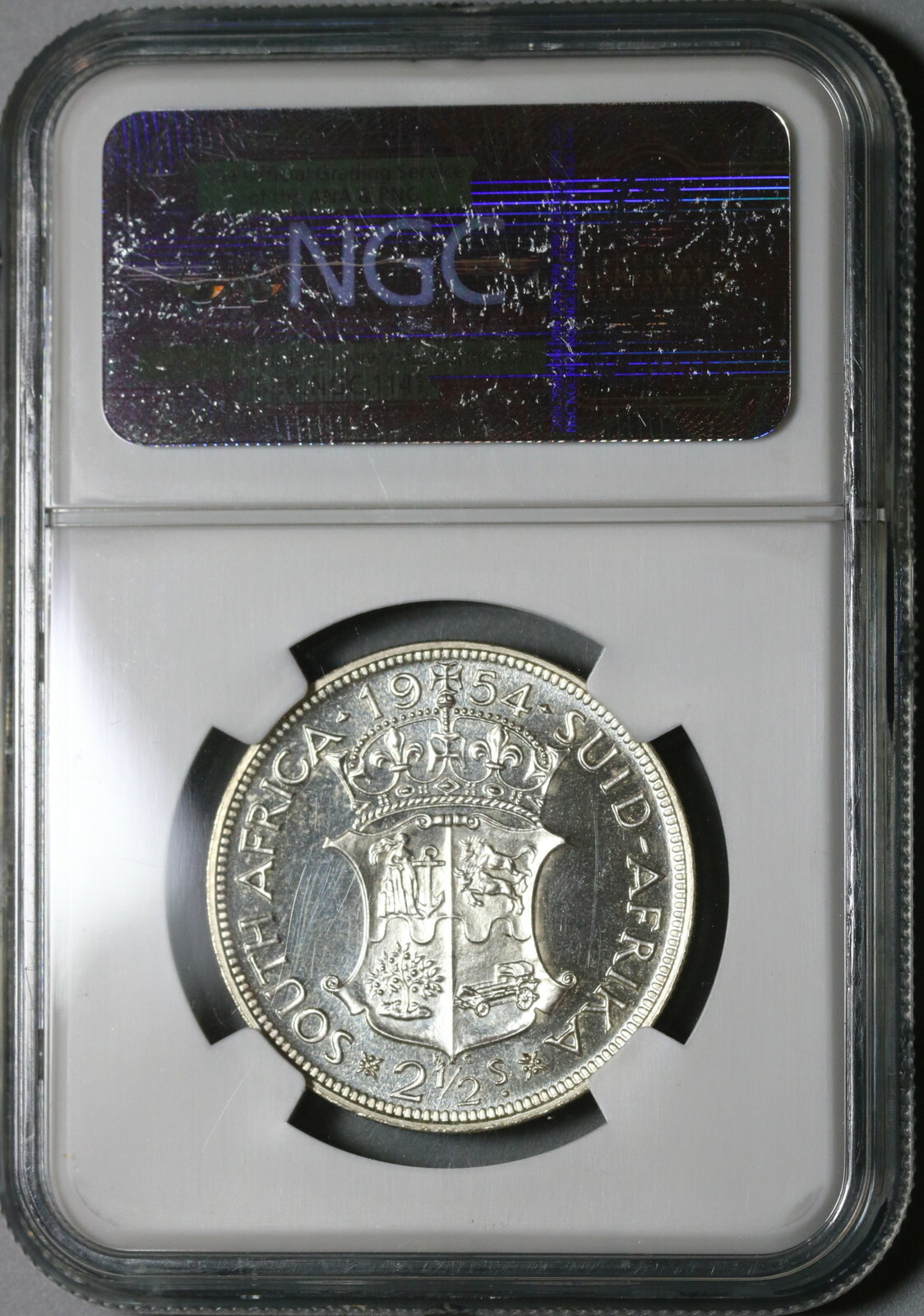 Picture 6 of 6