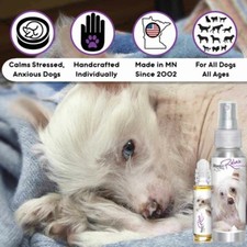 Chinese Crested Relax Dog Aromatherapy  Calm Anxious, Stressed Dogs Naturally