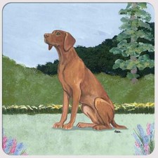 Vizsla Coasters - Set of 4