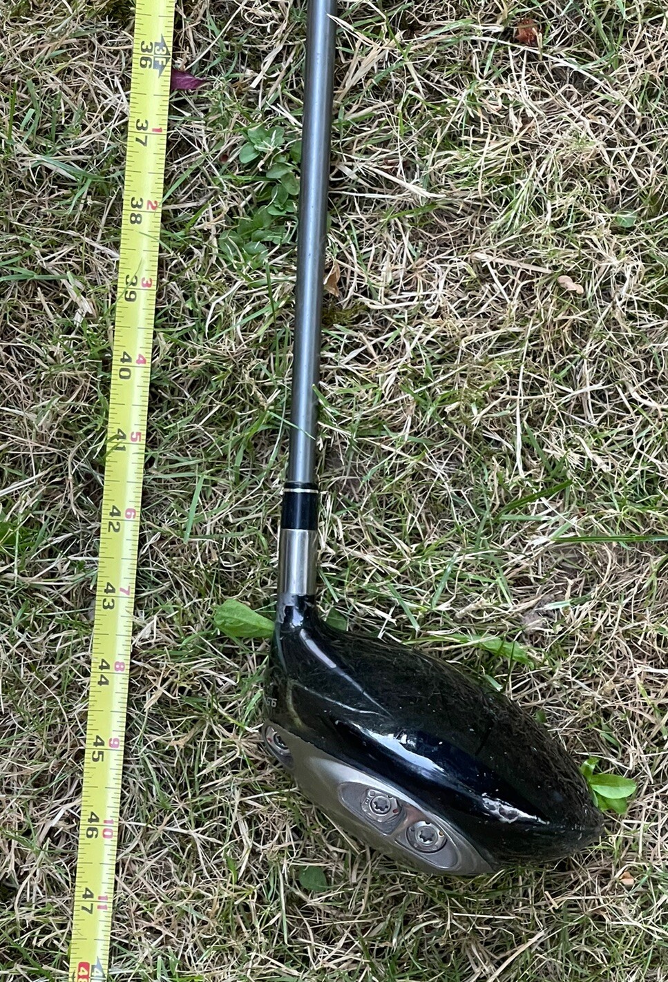 Picture 5 of 8
