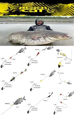 Black Cat Fertigvorfächer / Waller-Vorfach