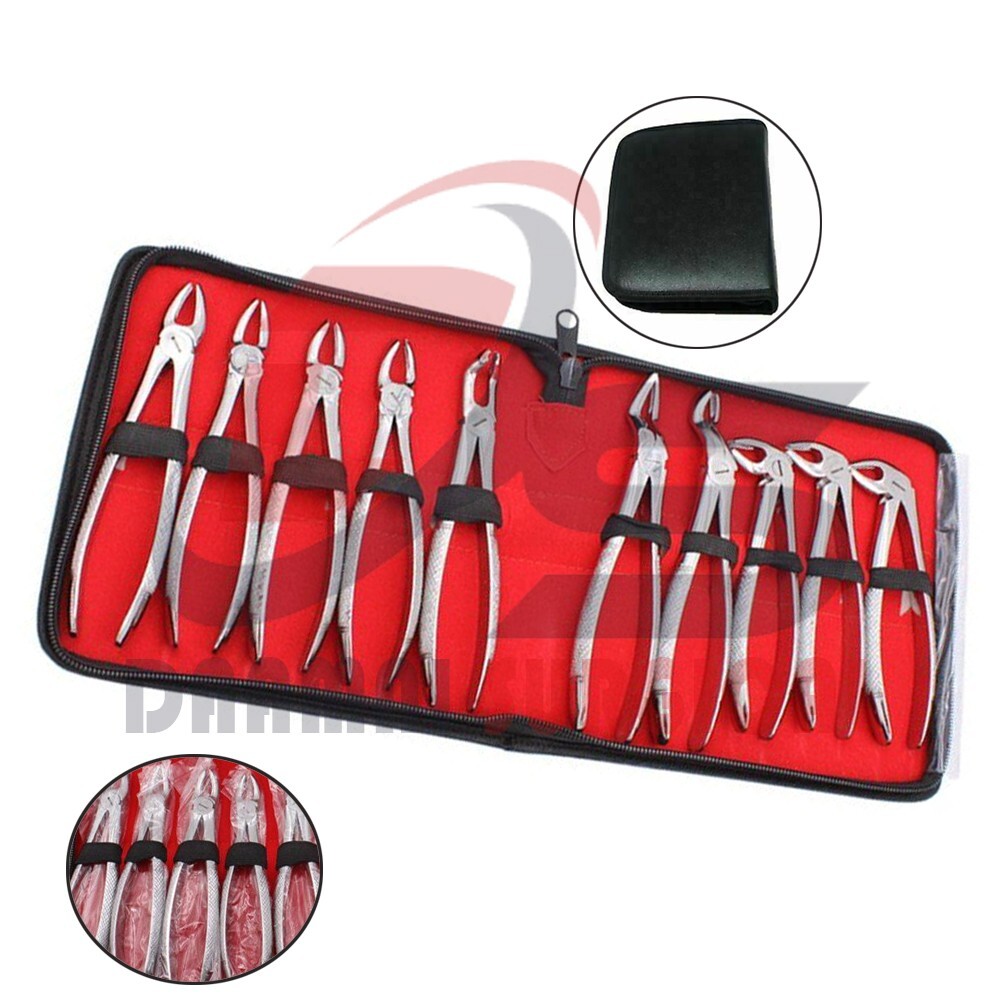 German Extracting Forceps #10S - Dental Surgical Instrument By CYNAMED USA