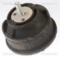 Motorlager Triscan 8505 11101 FüR BMW 3Er E46 Touring Compact 316 318 320