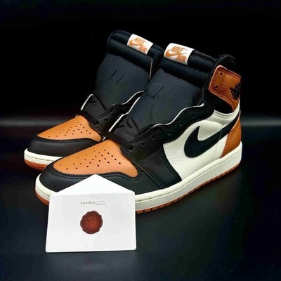 Size 9.5 - Air Jordan 1 Retro OG 2025 High Shattered Backboard for