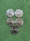 Lot Of 5- 1/10th oz .999 Silver Walking Liberty Rounds