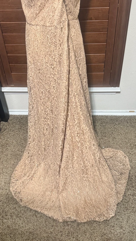 Vestido Anny Lee Beige Encaje Lentejuelas Formal Plus 3XL Madre de la Novia Novio Foto 4 de 4