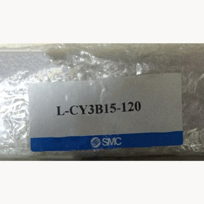 1pcs NEW   L-CY3B15-120 Rodless cylinder Fast Shipping  #D1*