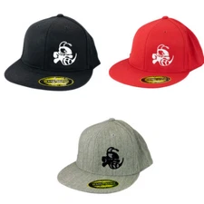 Discraft Disc Golf Hat Buzzz 210 Fitted Flexfit - Choose Size and Color