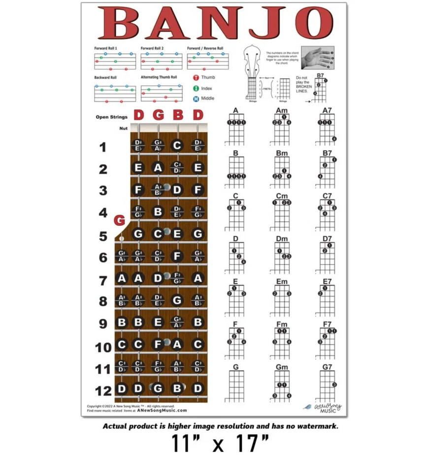 Banjo Chord Chart Poster Fretboard Rolls 5 String Chords Beginner Notes Theory - Image 4 of 4