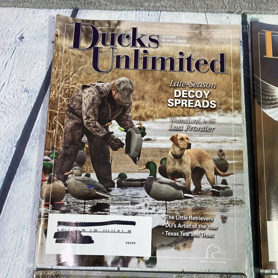 Ducks Unlimited Magazines 2009 Complete Year 6 Issues Lot (Jan.-Dec.) Wetlands - Image 2 of 4
