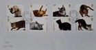 GB 2022 Commemorative Set of very fine used Cats stamps on envelope