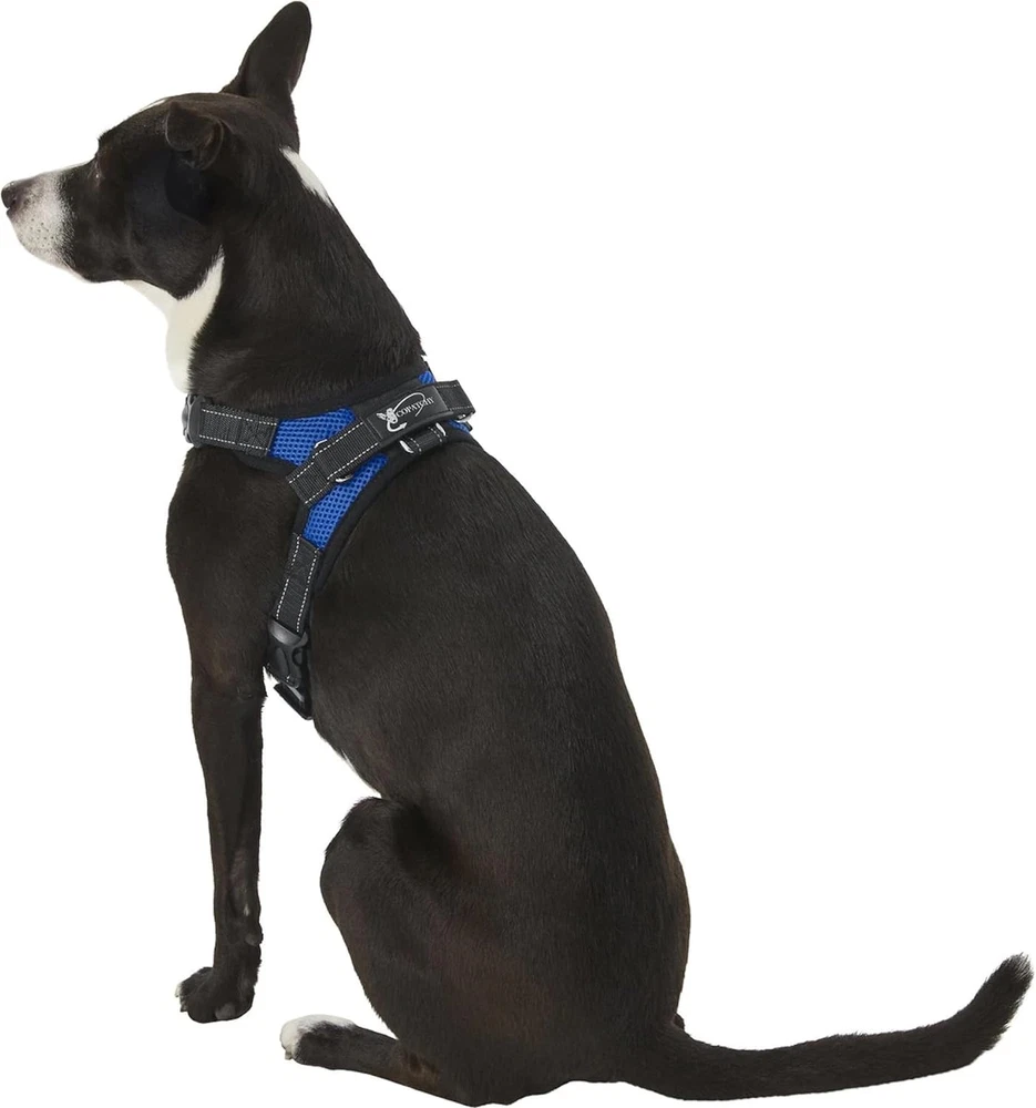 Dog Harness Small Sized Dog - All Weather Mesh Overhead Adjustable No Pull Vest
