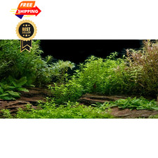 Aquarium Background Aquatic Plant Fish Tank Vinyl 36x20in/90x50cm