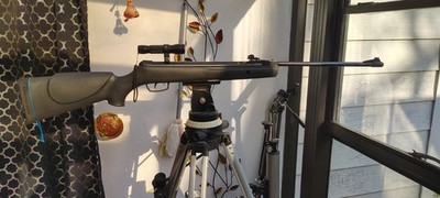 gamo shadow 1000