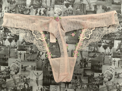 NWT Victoria’s Secret Dream Angels Rosebud Embroidery Thong Panty Medium M - Picture 2 of 3