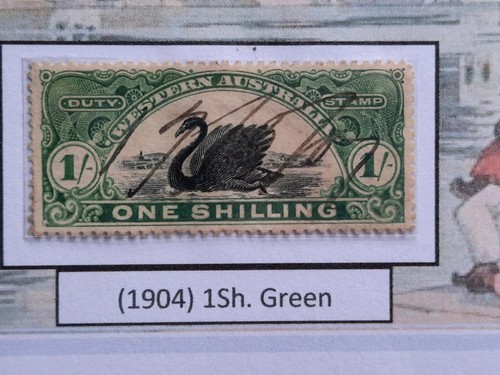 BEAUTIFUL Western Australia Long Swan Revenues. 4 Pgs. Lovely colln. ALL GENUINE - Picture 10 of 24