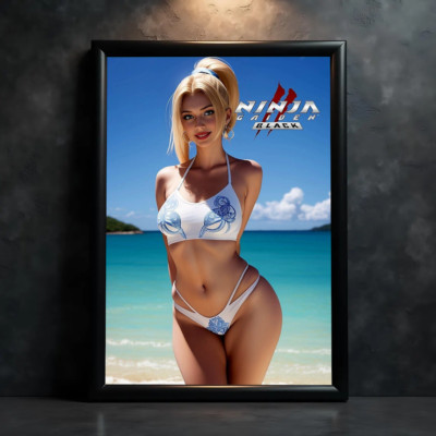 Sexy Rachel Ninja Gaiden Black 2 Poster Print - No Frame
