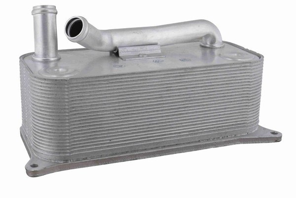 Vemo V15-60-6085 ÖLküHler, MotoröL FüR Audi-image
