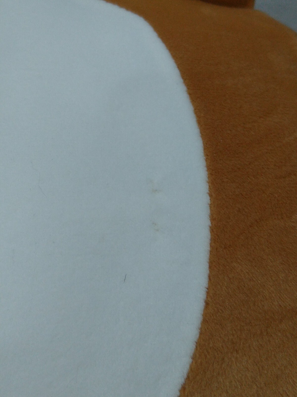 Picture 7 of 10