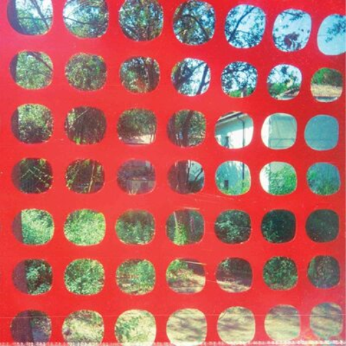 John Dwyer, Ted Byrnes, Greg Coates, Tom Dolas & Brad Caulk Endless Garbage (CD)