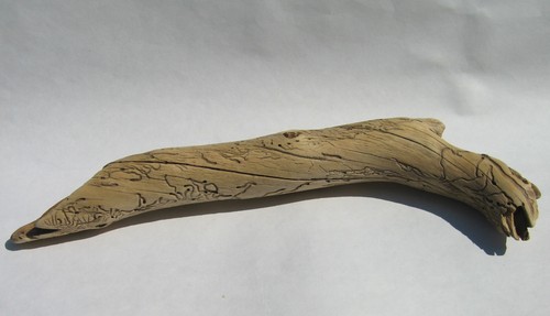 Driftwood w/ Beetle Etched Engraved Designs Terrarium Aquarium Wood Taxidermy - Picture 3 of 4