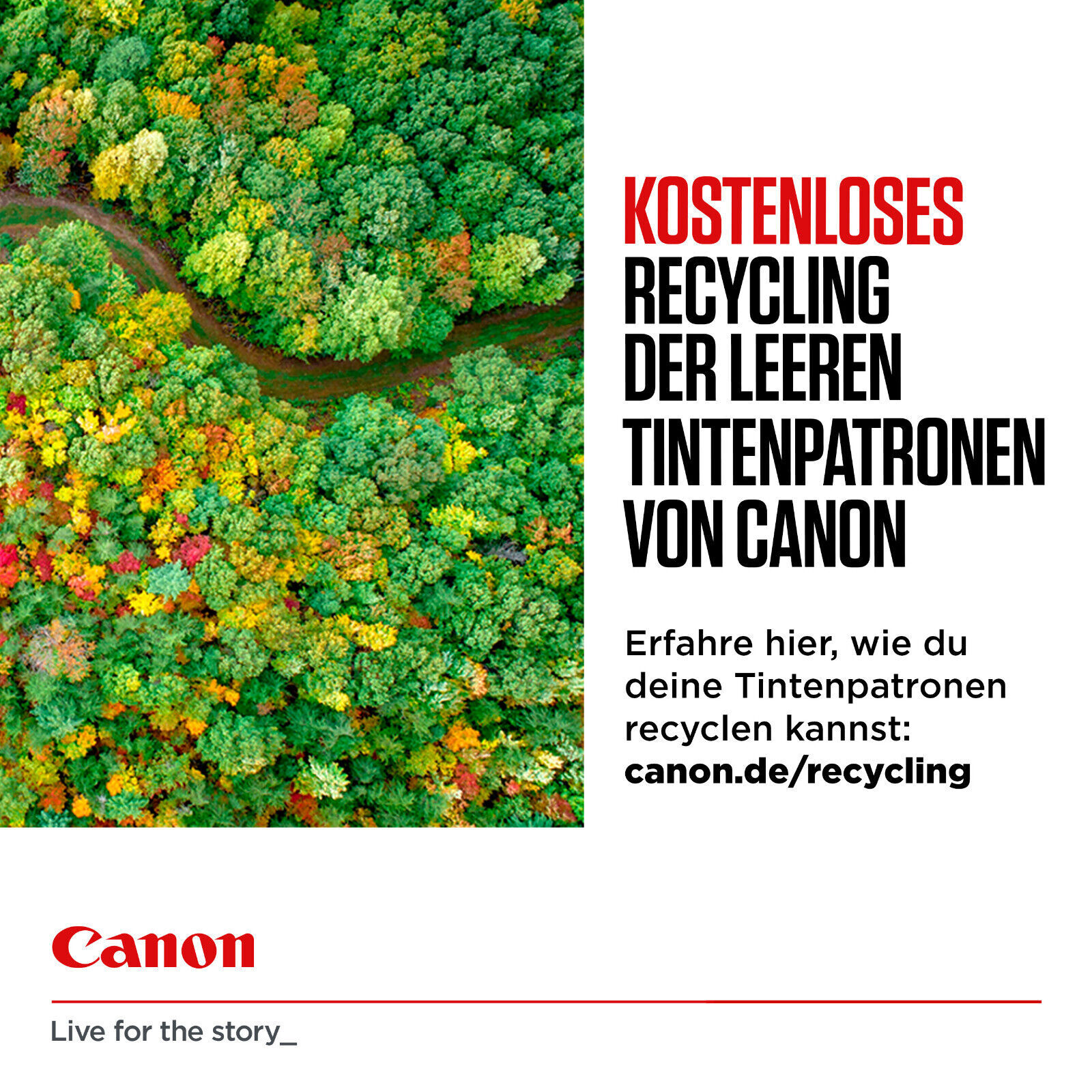 Bild 4 von 8