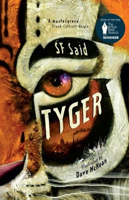 Tyger by SF Said PAPERBACK 9781788452915