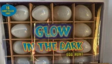 Easter Egg Glow In The Dark Egg Hunt 16 eggs empty eggs Hide and Seek Plastic