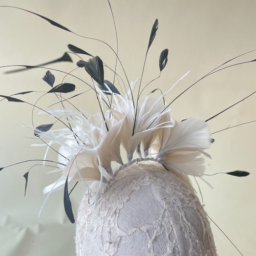 Gans Und Coque Feder Gedrehter Montur Hut Fascinator Kostüm Kunstshow - Bild 3 von 85