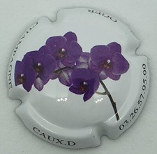 capsule de champagne Caux D