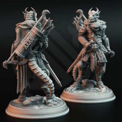 D&D miniature バラ売り Zandoril Dragonborn Drakewarden Ranger Rogue Miniature | D&D DnD
