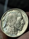 1913 Type 2 US Buffalo Nickel Philadelphia Mint AU Details