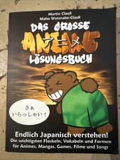Das große Anime Lösungsbuch: Endlich Japanisch verstehen... Animes Mangas Games.
