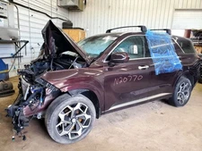 PALISADE  2022 Air Bag 1706028