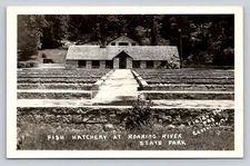 RPPC Roaring River State Park Fish Hatchery Missouri Real Photo P620 Fields