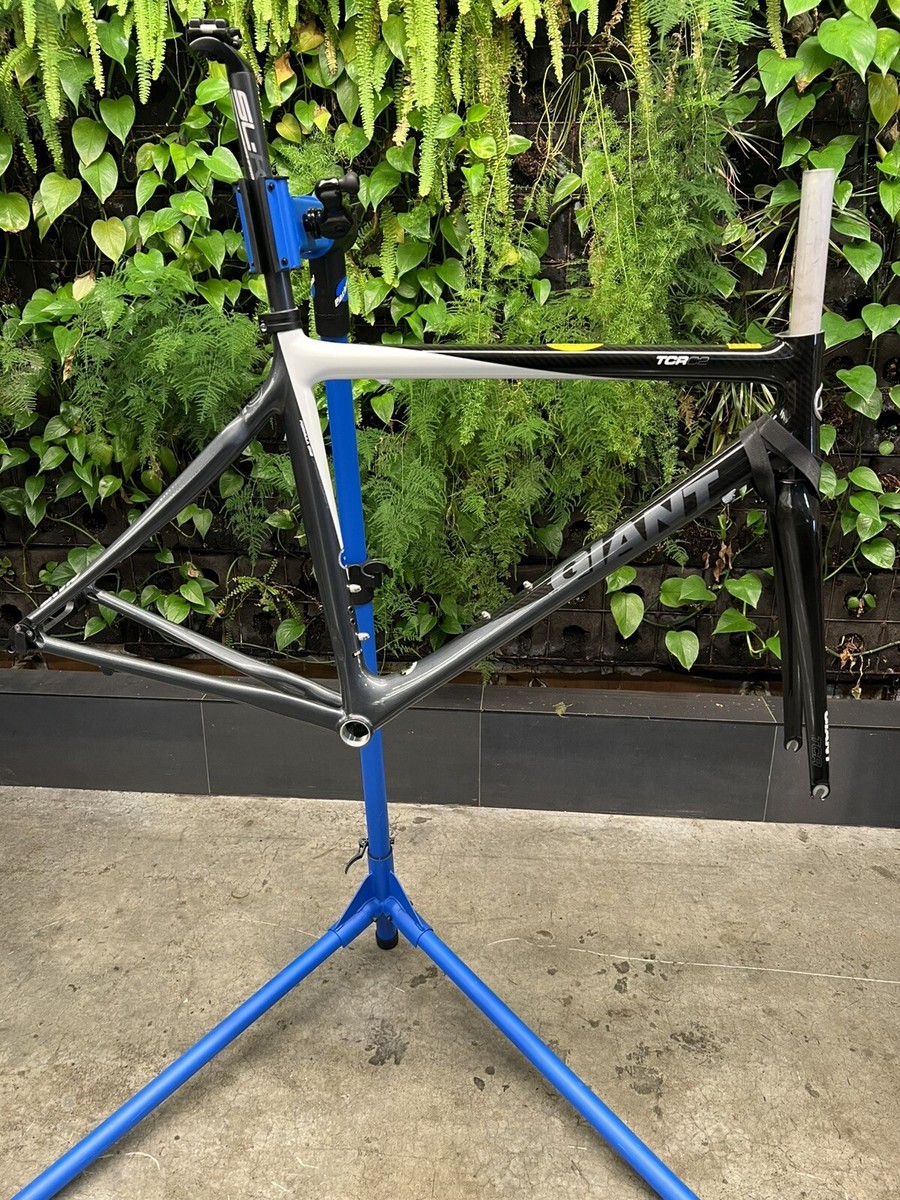 GIANT TCR ADVANCED 2006 フルカーボンフレームセット 2006 Giant TCR Advanced Composite 2 Medium Rim Brake Carbon