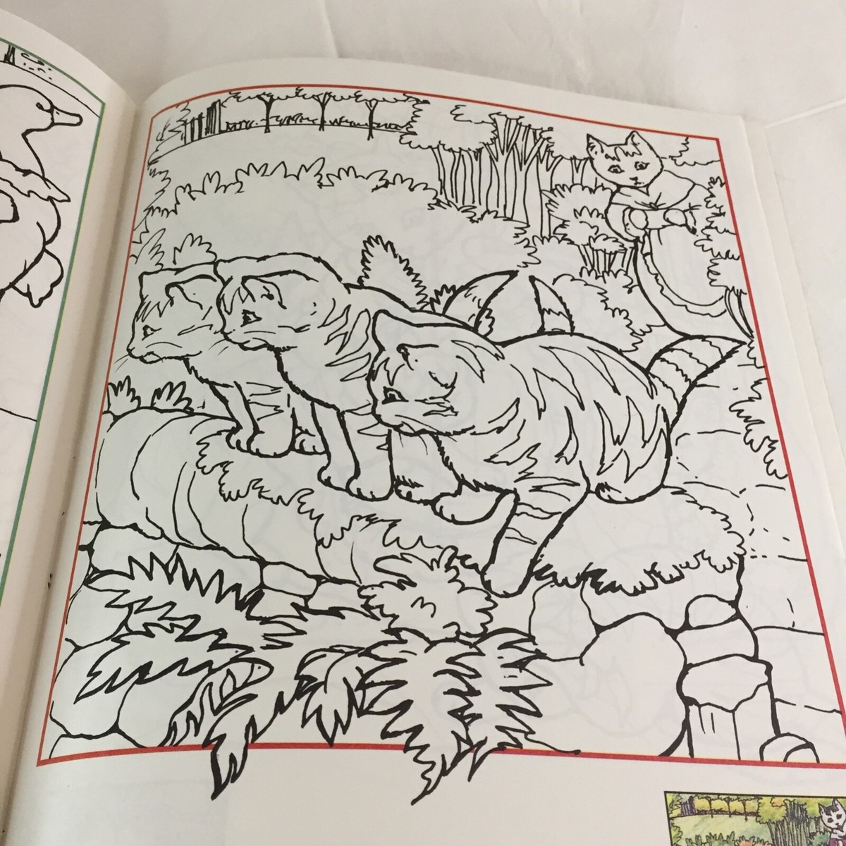 絵本・児童書 Ladybird Tom Kitten: Colour in Story Ladybird