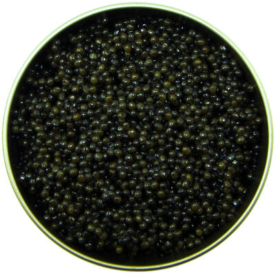 100g Stör Kaviar Amur ROYAL Malossol Fisch Rogen Dose Lemberg Schwarz Feinkost