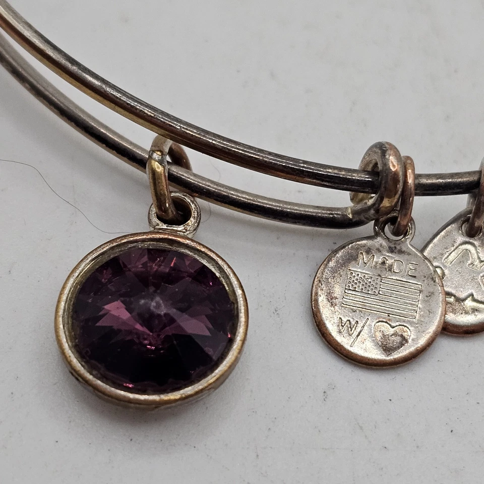 Juego de 2 Brazaletes Brazalete Alex & Ani Tono Plata Dije Piedra Púrpura y Limón Foto 3 de 4