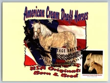 #5590 Heritage Breeds American Cream Draft Horse FDC Maxi Card w/Pictorial