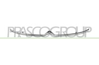 Prasco Frontgrill KüHlergrill Gitter FüR CitroëN C3 III SX