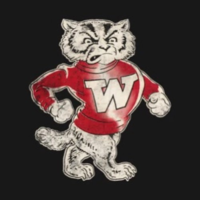#ad Wisconsin Badgers Tee Mens L Black Retro Vintage Bucky 12x8in Metal Sign $32.99
