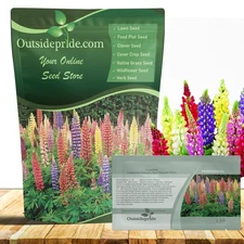 5 LBS Lupine Seeds For Planting | Lupinus Russell Hybrids Flower Seed Mix