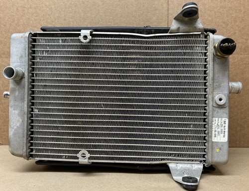 06-09 GENUINE KFX 700 KAWASAKI KFX700 RADIATOR - Picture 2 of 7