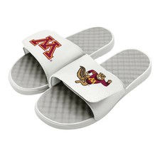 Minnesota Logos Split Slides