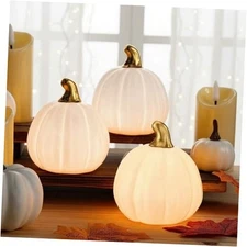 3 Pcs Light up Fall Pumpkin Tabletop Decor Light up Ceramic Pumpkins White