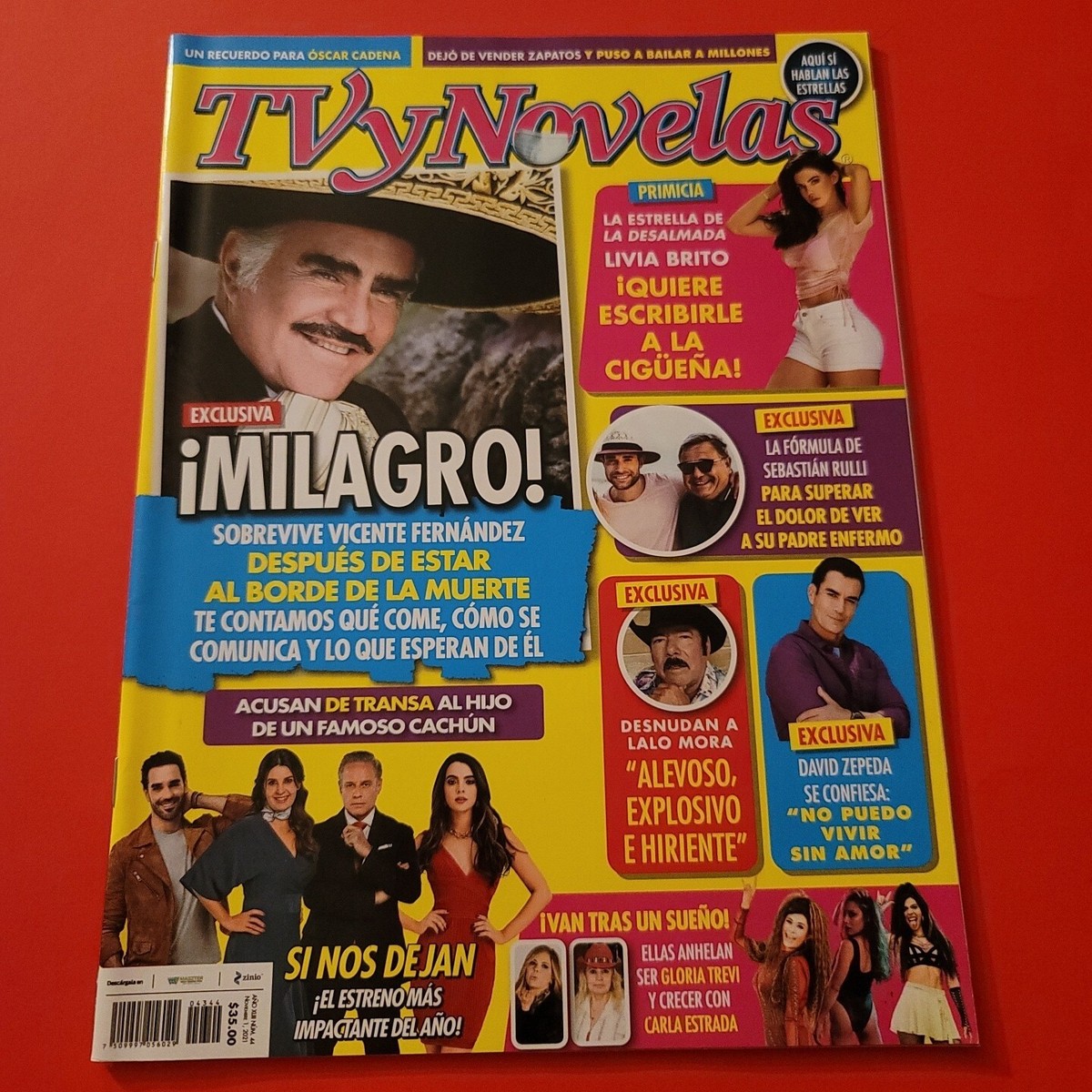 Vicente Fernandez Gloria Trevi David Zepeda Lalo Mora Fandango